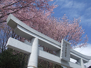 栗山東照宮